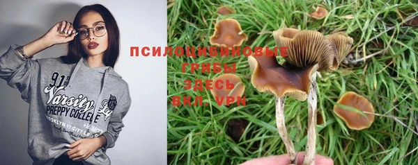 дмт Беломорск