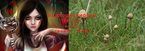 гашиш Белокуриха