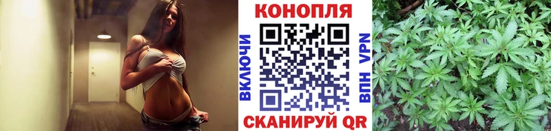 МЕГА   купить наркоту  Вельск  Шишки марихуана AK-47 